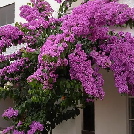 Awesome In With View