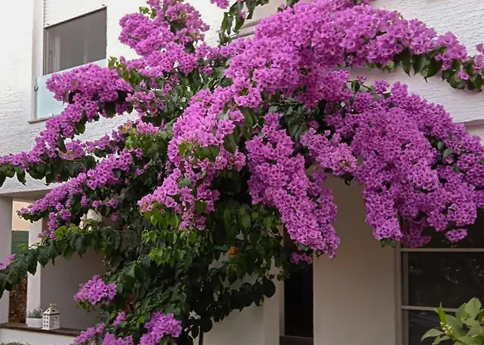 Awesome In With View